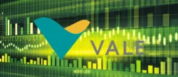 Vale S.A. (VALE3): Stock Overview