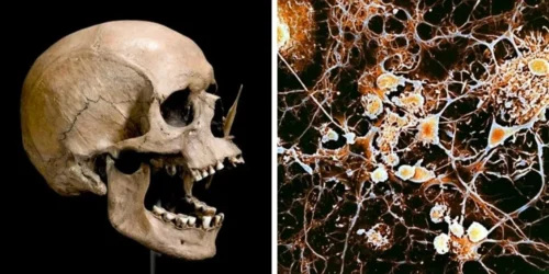 Ancient Genomes Reveal Three Migration Waves and Impact on Modern Characteristics