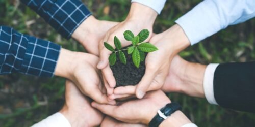 Environmental Education: Nurturing Ecological Consciousness for a Sustainable Tomorrow
