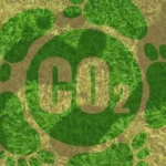 Carbon Footprint: Measuring and Mitigating Environmental Impact