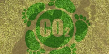 Carbon Footprint: Measuring and Mitigating Environmental Impact