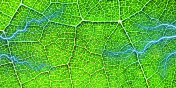 Advances in Artificial Photosynthesis Propel Green and Sustainable Energy Initiatives
