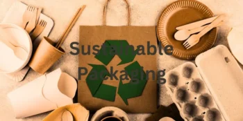 Sustainable Packaging: Redefining the Future of Responsible Consumption