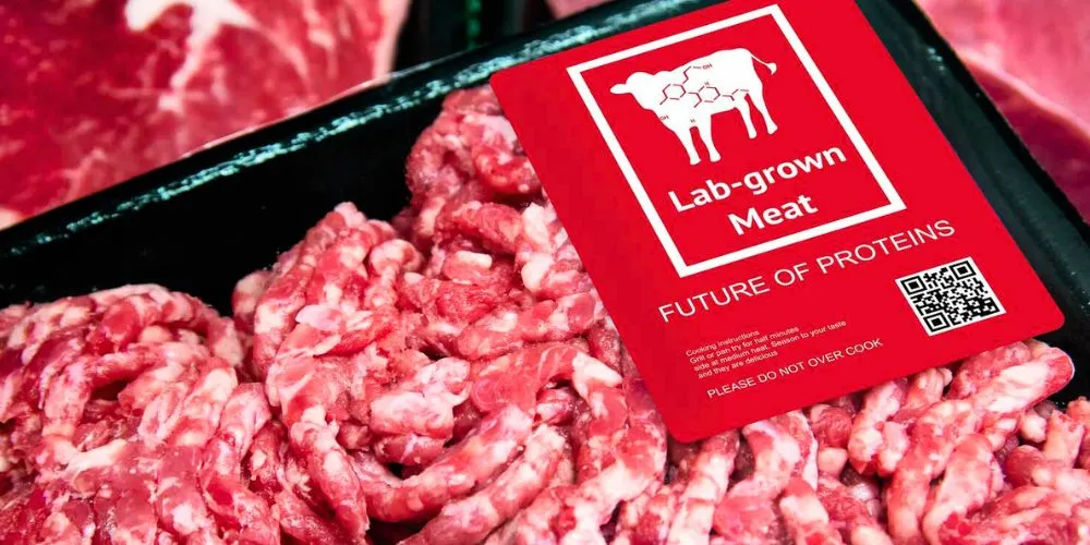 Cultured Meat Pioneering Sustainable Solutions for Future Food Production