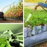 Advanced Agricultural Robots Set to Reshape the Landscape of Modern Agriculture, Sustainable Agriculture Technology