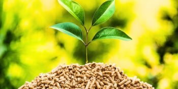 Biomass Harnessing Nature's Energy for a Sustainable Future