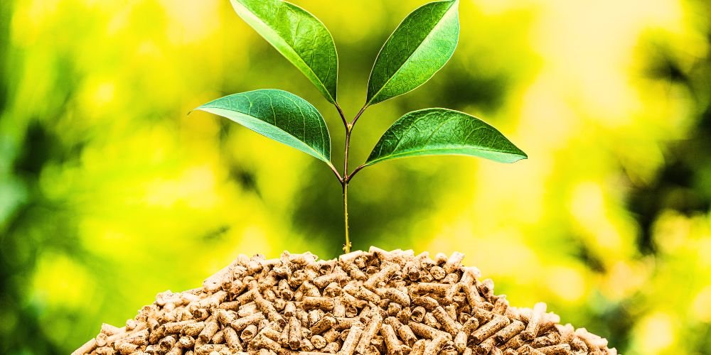 Biomass Harnessing Nature's Energy for a Sustainable Future