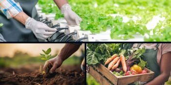 The Imperative of Sustainable Food Production Nourishing the Planet