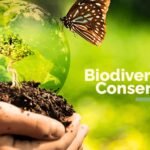 The Role of Conservation Genetics Preserving Biodiversity