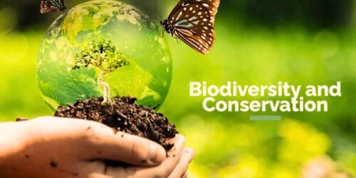The Role of Conservation Genetics Preserving Biodiversity