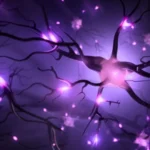 Unraveling the Mysteries of the Brain through Neurotechnology Innovations