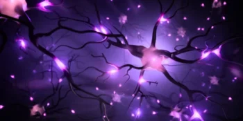 Unraveling the Mysteries of the Brain through Neurotechnology Innovations