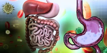 Researchers Identify Natural Gut Compounds for Treating Digestive Issues