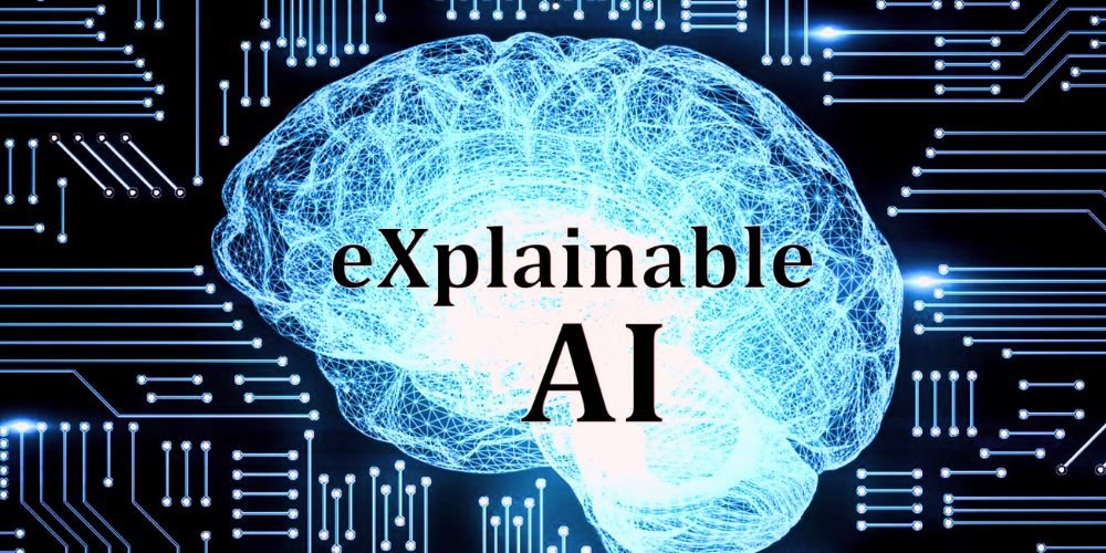The Importance of Explainable AI in Shedding Light on AI Decisions