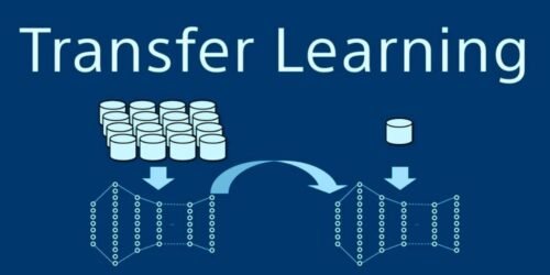 Transfer Learning Leveraging Knowledge for Enhanced AI Performance