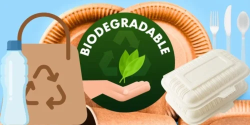 The Future of Sustainable Innovation with Revolutionary Advances in Biodegradable Material