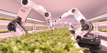 The Role of AI in Agriculture in Cultivating Innovation