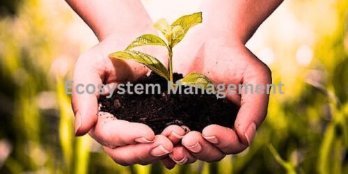 The Art of Ecosystem Management Balancing Act