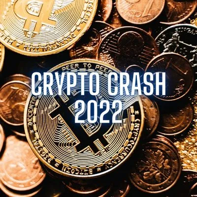 Crypto Crash 2022 What Really Happened