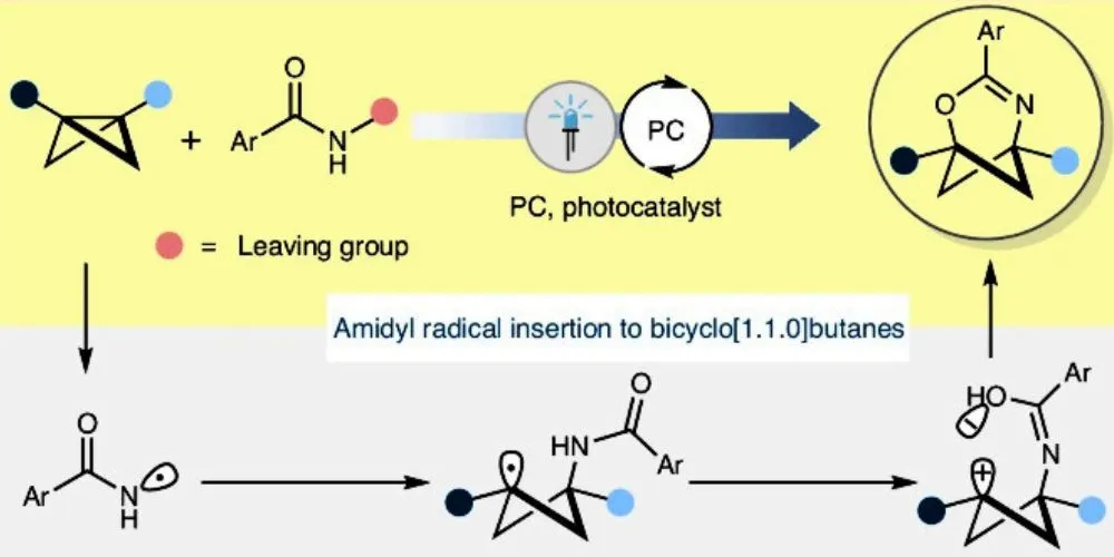 New Method for Creating 3D Cage Molecules Offer Stability for Pharmaceuticals