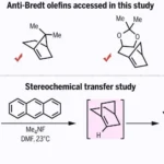 Chemists Break Boundaries with Creation of Unstable Anti-Bredt Olefins