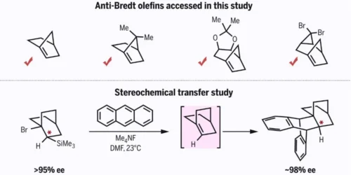 Chemists Break Boundaries with Creation of Unstable Anti-Bredt Olefins