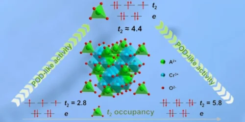 New Study Introduces Predictive Descriptor for Designing High-Performance Nanozymes