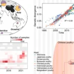 Study Suggests Bird Flu Vaccinations May Accelerate Virus Evolution