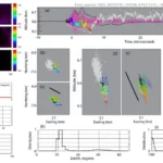 Los Alamos Study Reveals Cosmic-Ray Showers Trigger Lightning Flashes