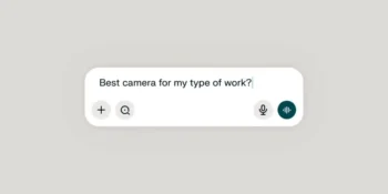 Perplexity AI shopping assistant