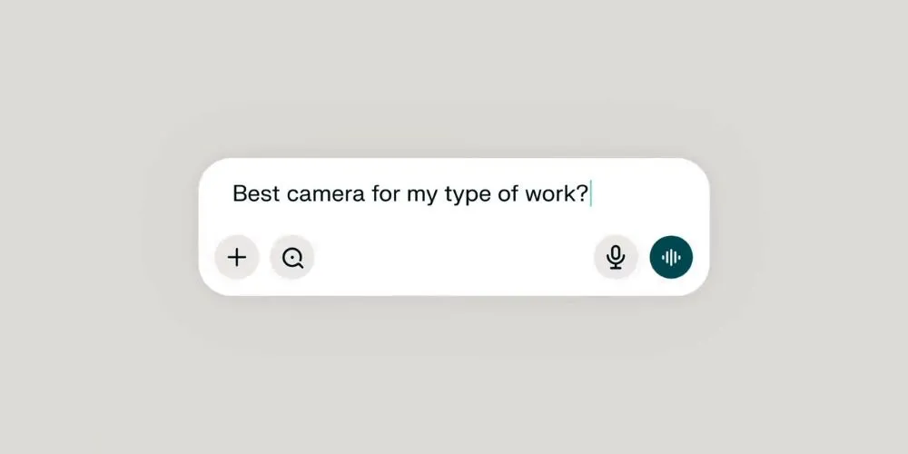Perplexity AI shopping assistant