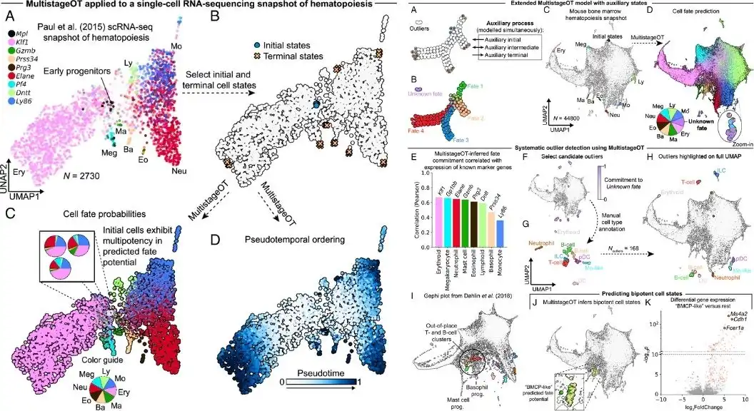 MultistageOT identifies