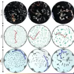 robotic active filaments