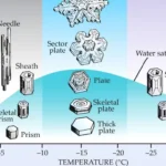snow crystal morphology