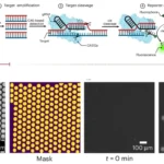 digital SHERLOCK assays
