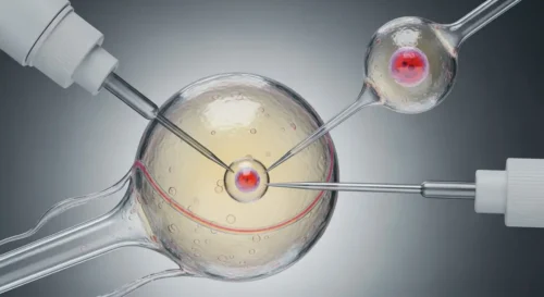 Somatic Cell Nuclear Transfer