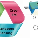 solid-state nanopore sensor