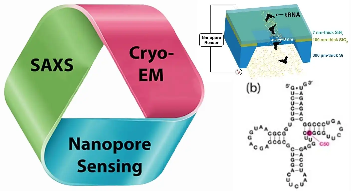 solid-state nanopore sensor