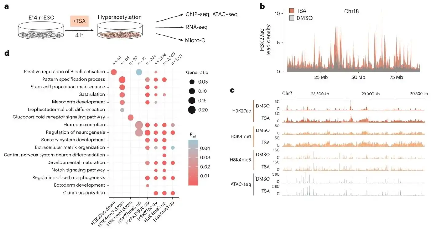 Acute HDAC