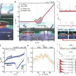 solid-state nanopores