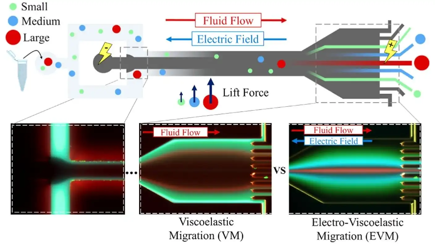 Microfluidic Electro-Viscoelastic Separation