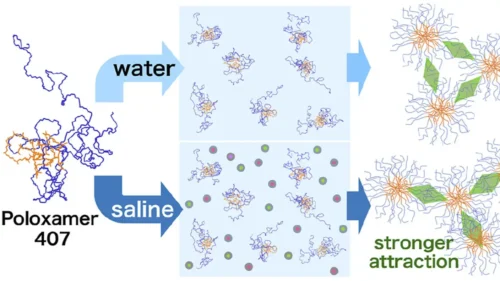 sol-gel-sol transition