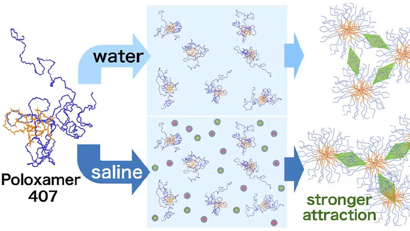 sol-gel-sol transition
