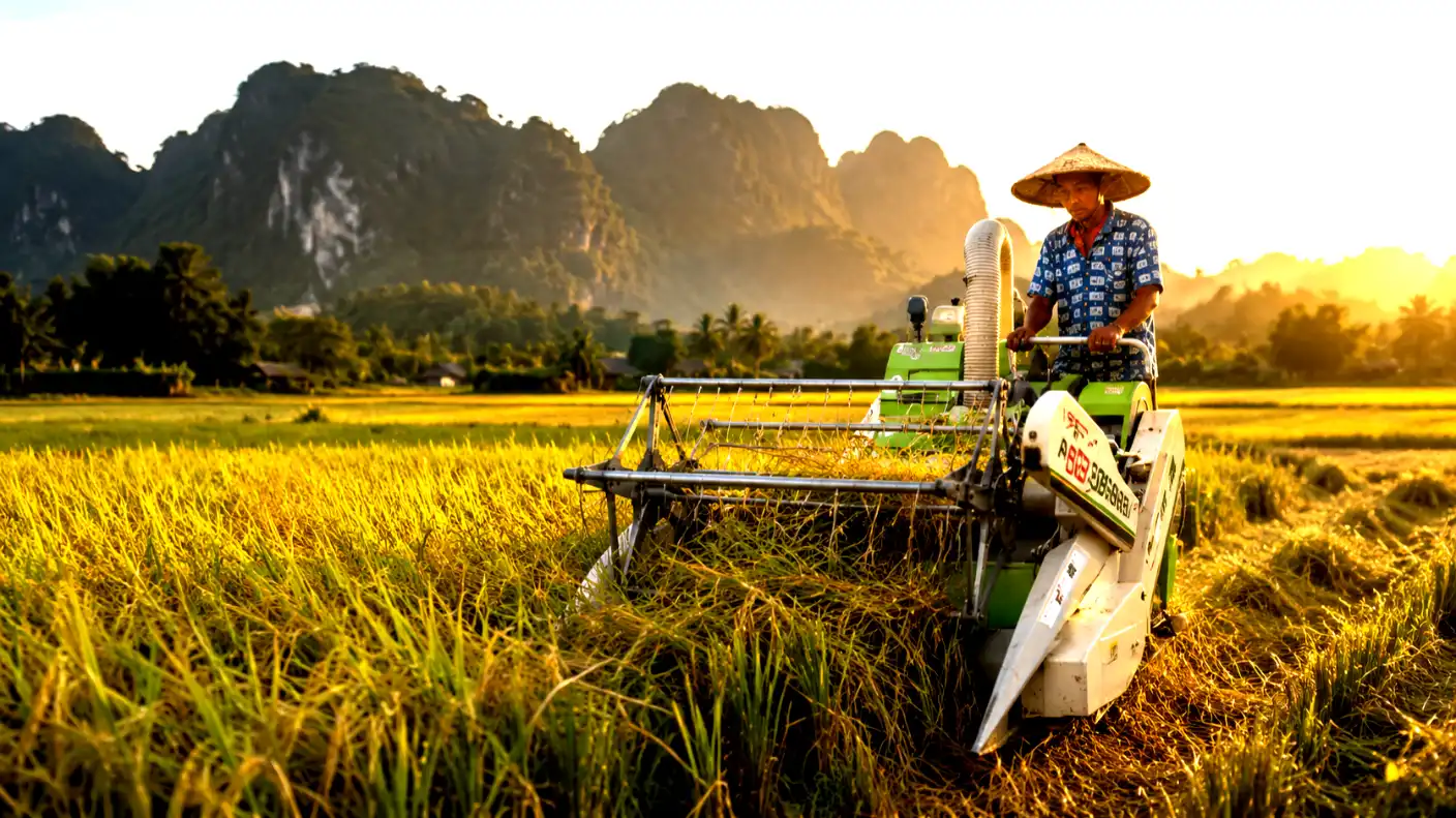 rice harvester